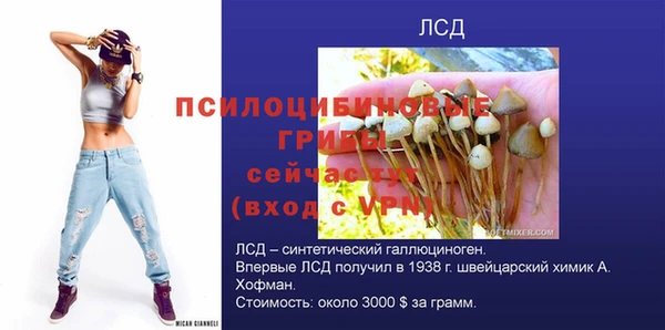 молекула духа Абинск