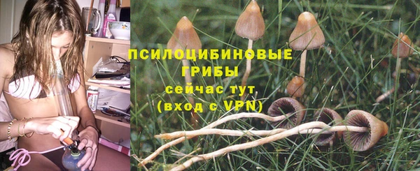 гидра Абаза