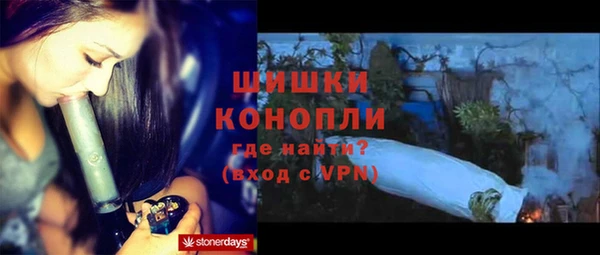 гидра Абаза
