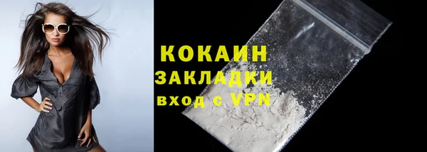 гидра Абаза