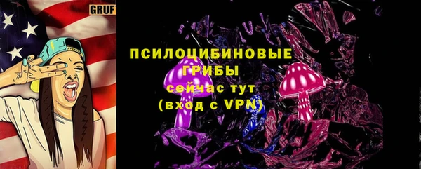 молекула духа Абинск