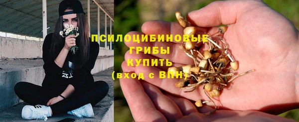гидра Абаза