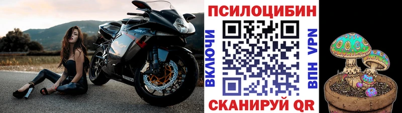 где продают   Лесозаводск  Псилоцибиновые грибы Psilocybe 