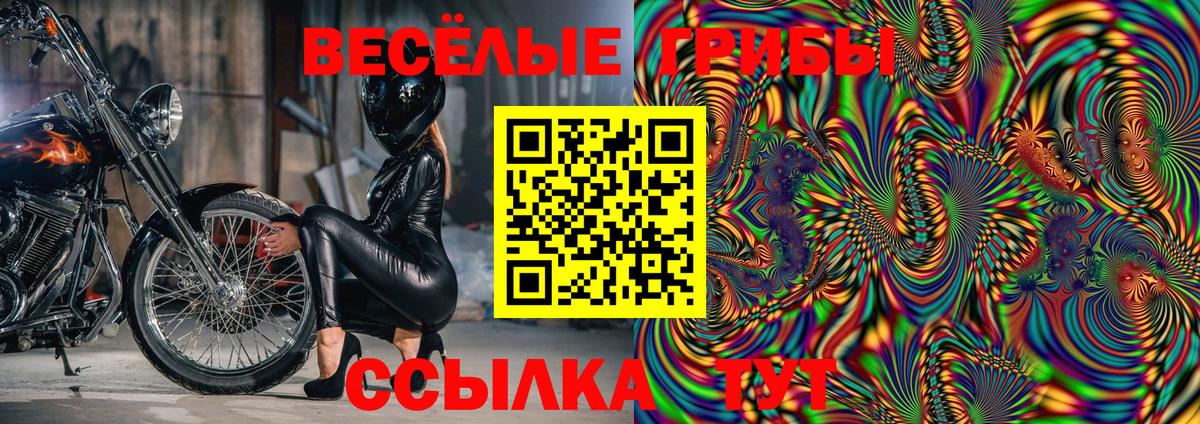 Псилоцибиновые грибы ЛСД Лесозаводск